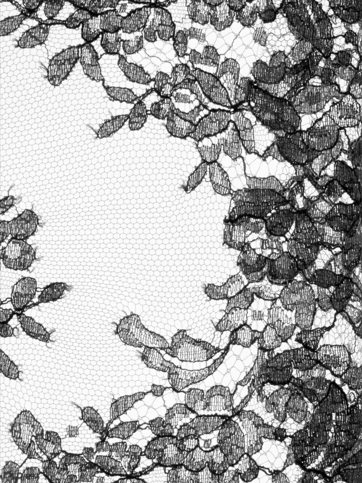Floral & Lace Engraving Series by NFormula Life, featuring precision-etched steel stamping plates with romantic floral and lace designs for elegant professional nail art.