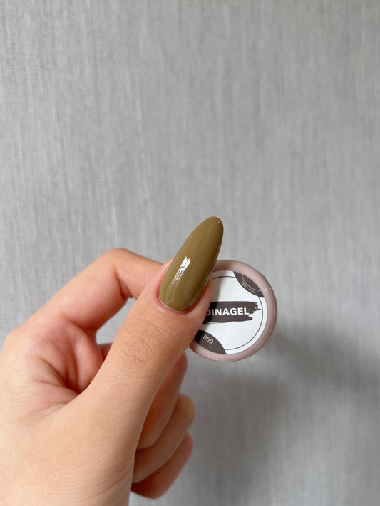 DINAGEL Color Gel【Warmth Serise 080】3g