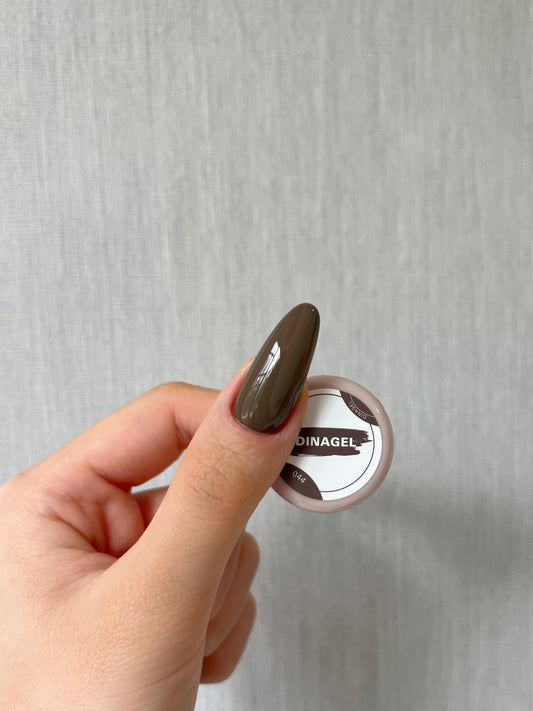 DINAGEL Color Gel【Forest Serise 044】3g