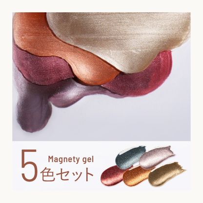 EMENA Magnetic Gel 5 Color Set 0546 0547 0548 0549 0550 Cat Eye Metallic Shimmer Soak Off UV LED Nail Polish for Professional Salon Canada USA
