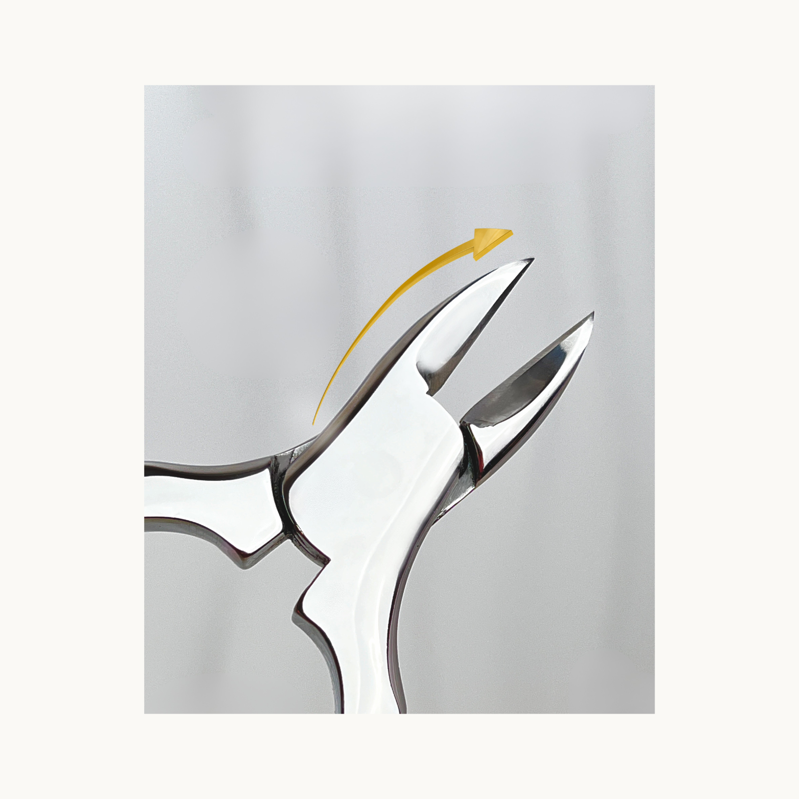 Close-up of MODING cuticle nipper showing blade opening direction for controlled trimming