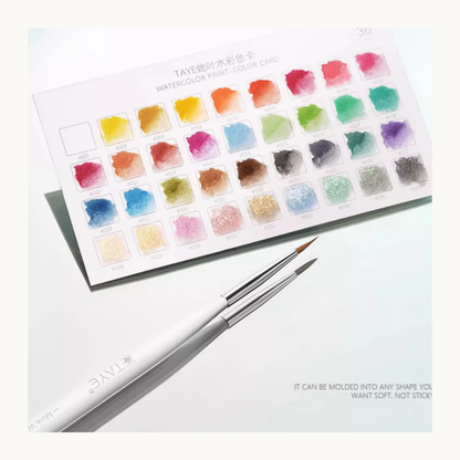 TAYE nail watercolor paint color chart with professional detail brushes