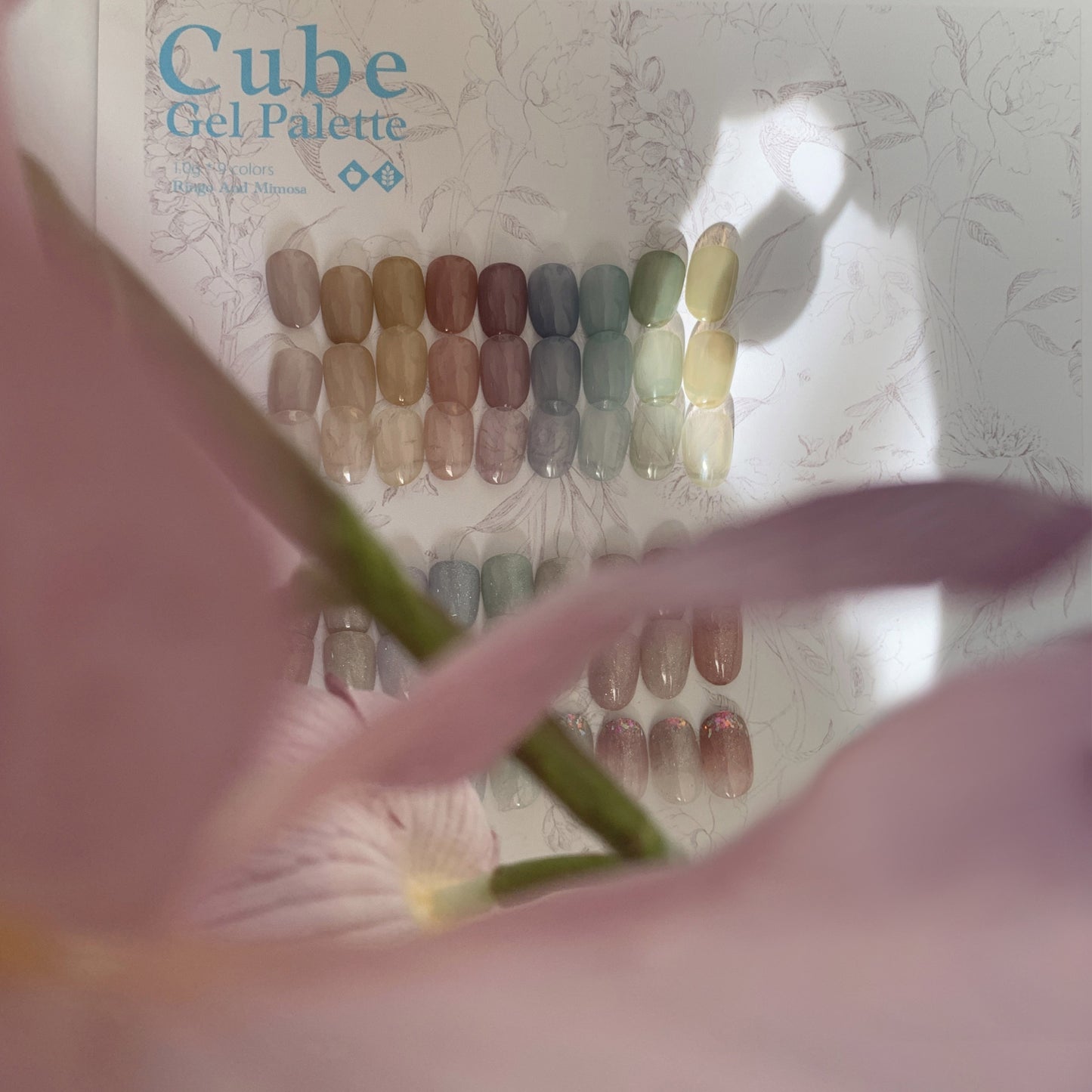 Ringo & Mimosa RM Cube 【Spring】